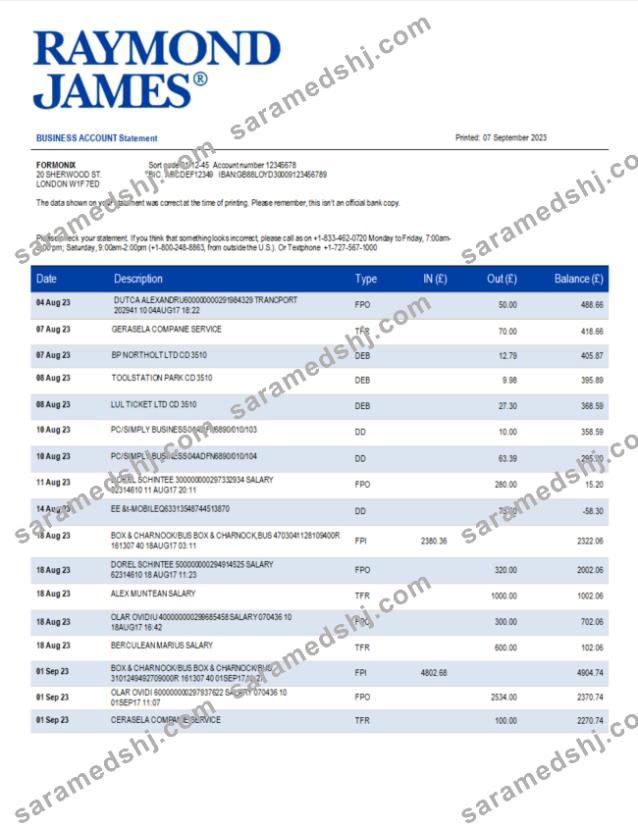 Raymond James Bank organization statement Word and PDF template